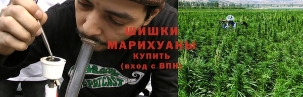 сатива Абаза