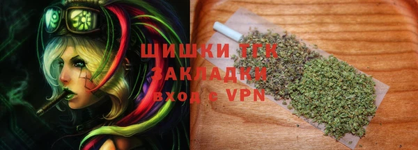 сатива Абаза