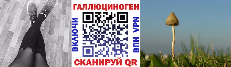 Псилоцибиновые грибы ЛСД  купить закладку  Уварово 